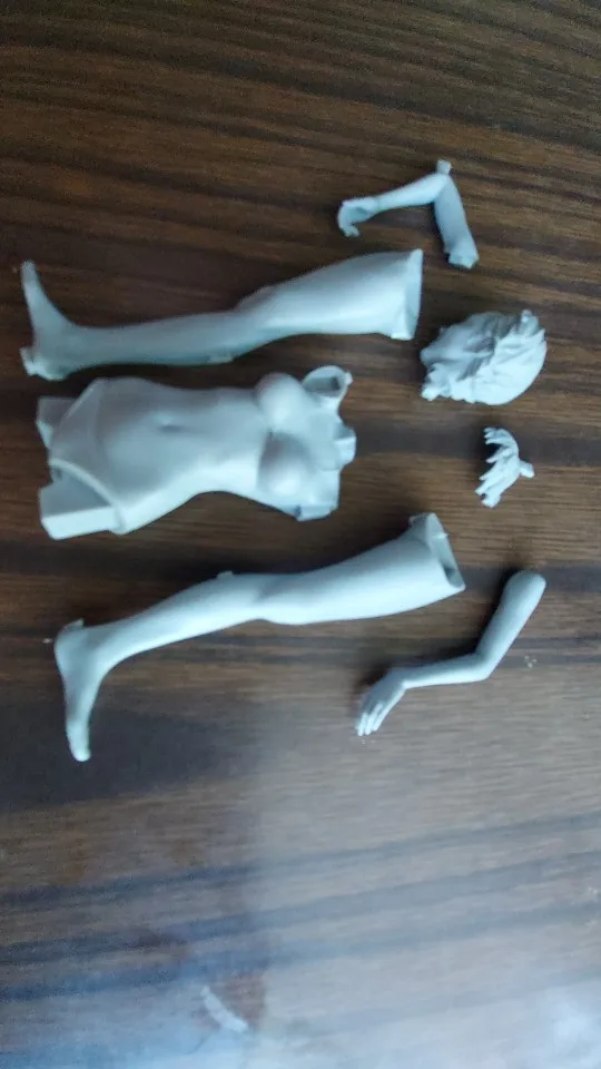 Buyer photo of this resin kit