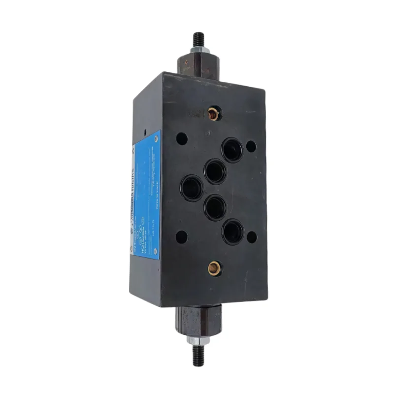 Hydraulic Flow Control Valve DGMFN DGMPC Series DGMPC-3-ABK-BAK-41 DGMFN-3-Y-A2W-B2W-41 DGMFN-3-Y-A2W-B2W-41 Check Valve