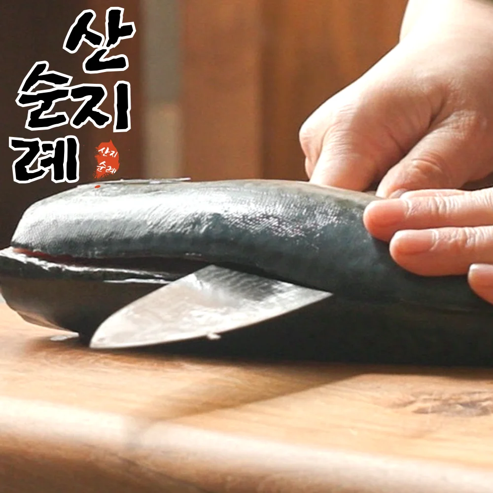 국산 제주 올레 손질 고등어 5팩