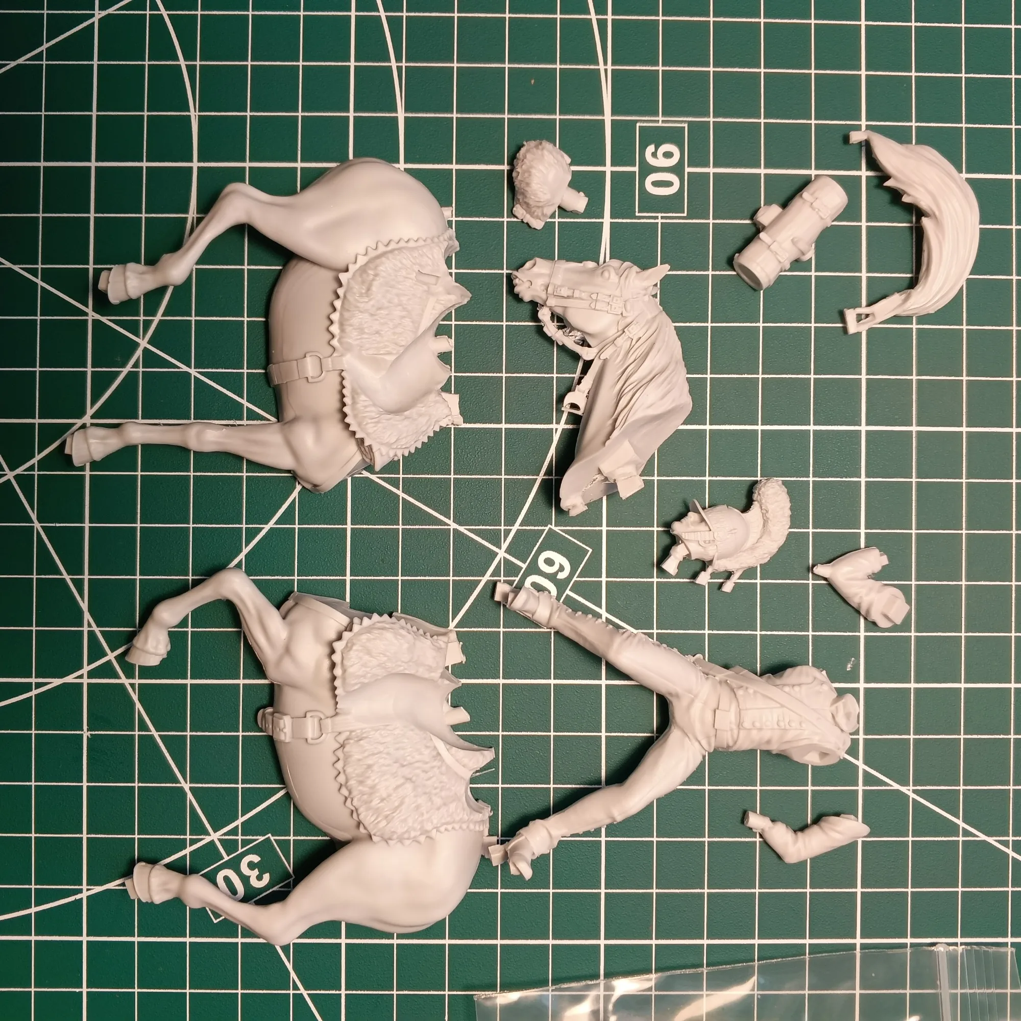 Buyer photo of this resin kit