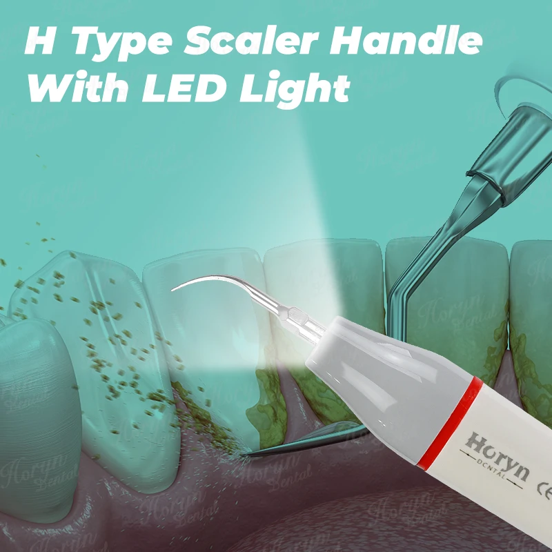 Horyn Dental Ultrasonic Scaler Handpiece H Type With LED Light Professional Teeth Cleaning Machine Replacement Accessory