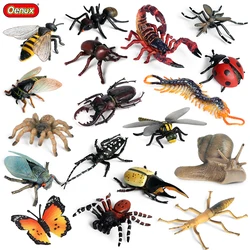Oenux Simulation Cute Insects Animals Action Figures Forest Butterfly Bee Spider Ladybug Model Figurines Kids Education Gift Toy