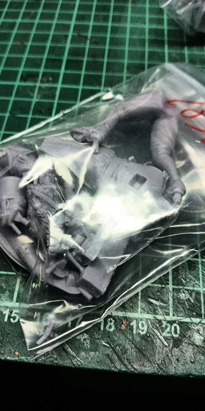 Buyer photo of this resin kit