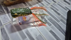Imagen de reseña 1