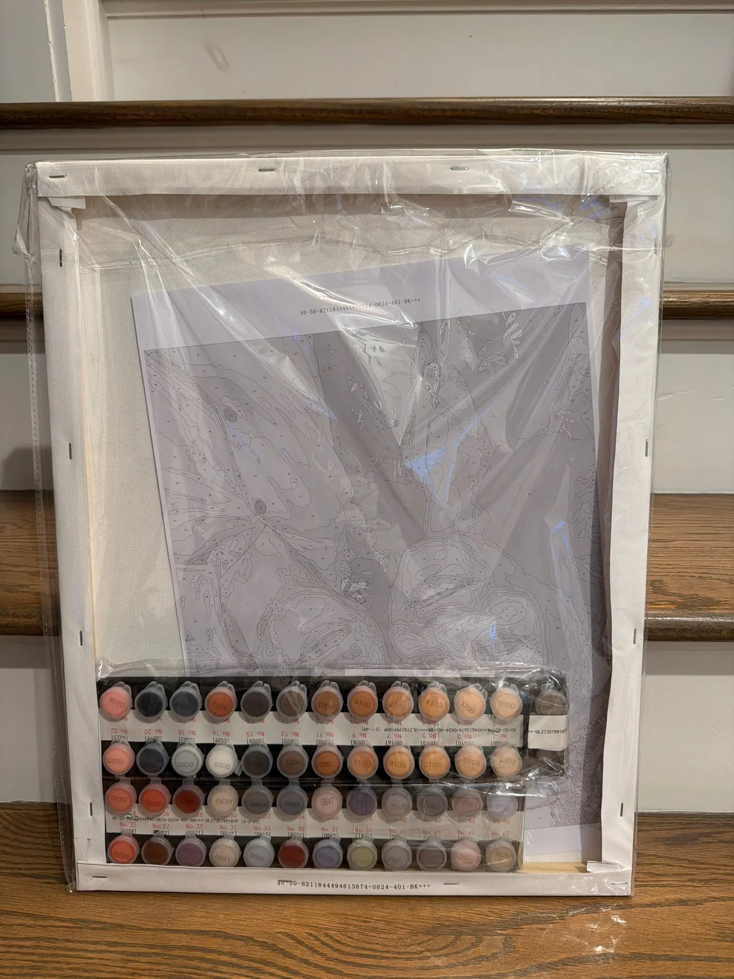 Broderick, Custom Paint by Numbers from Photo - Personalized Gift Kit