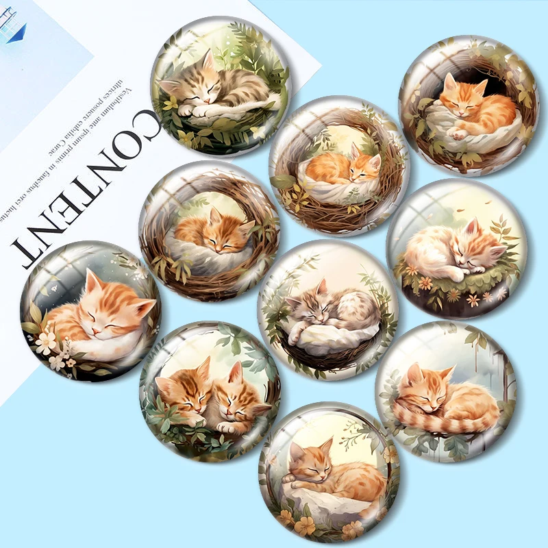 

Sleeping Kitten 10pcs 12mm/16mm/18mm/25mm Round Photo Glass Cabochon Demo Flat Back Making findings