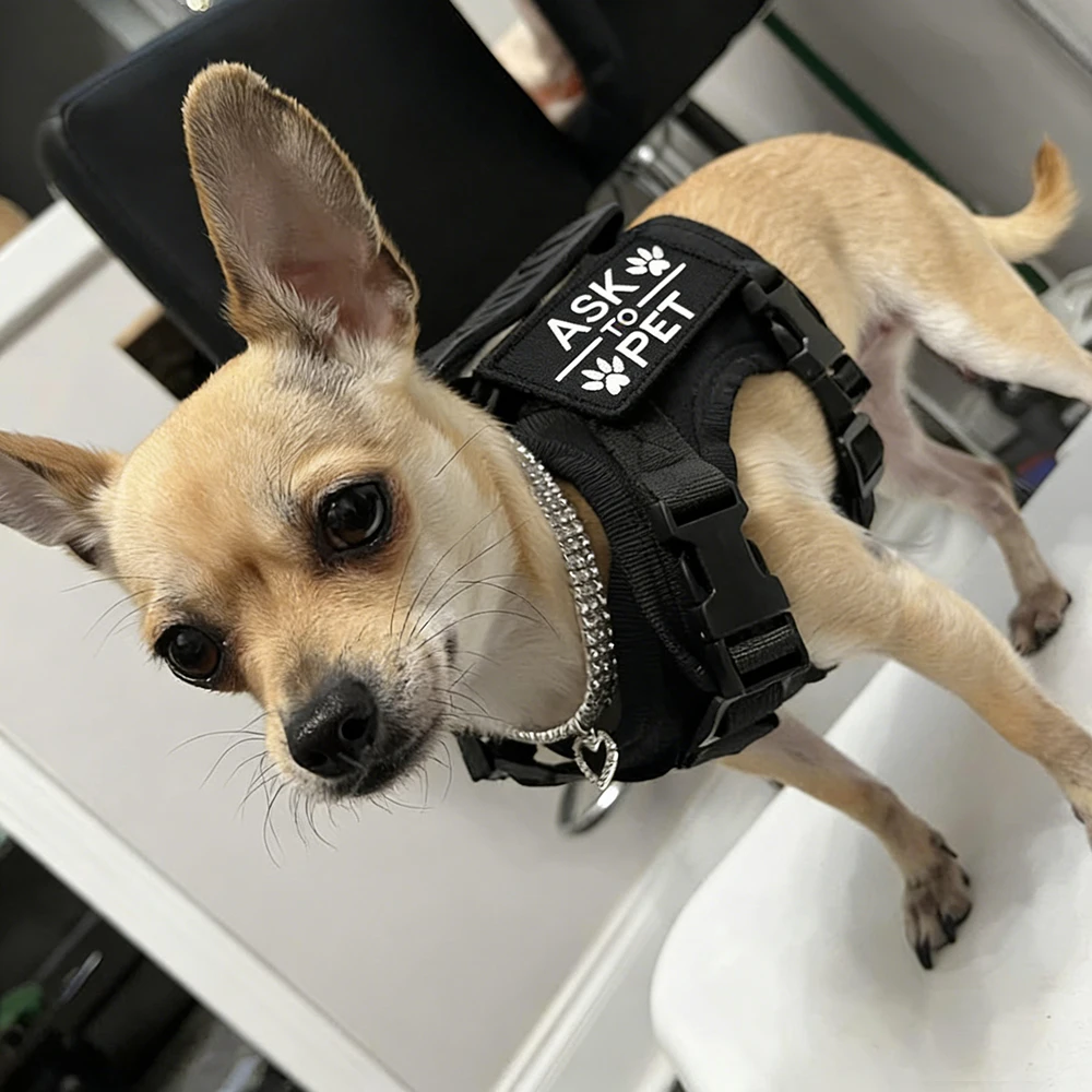 Taktisches Katzengeschirr, ausbruchsicher, verstellbare Weste im Militärstil, bequem für Katzen, Welpen, Outdoor-Spaziergänge, Training – Detail 14