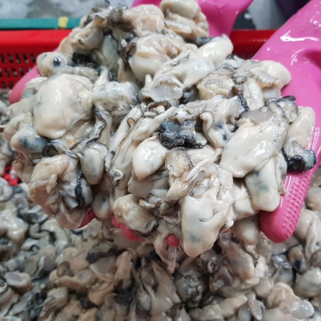 [Same-day operation] 1kg of Tongyoung oyster direct production