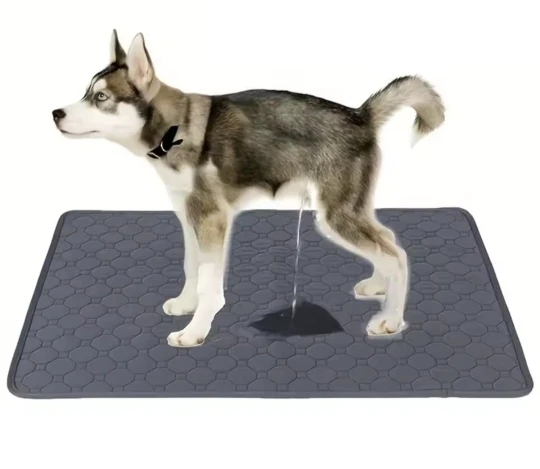 Customer review photo for Washable Reusable Dog Pee Pad