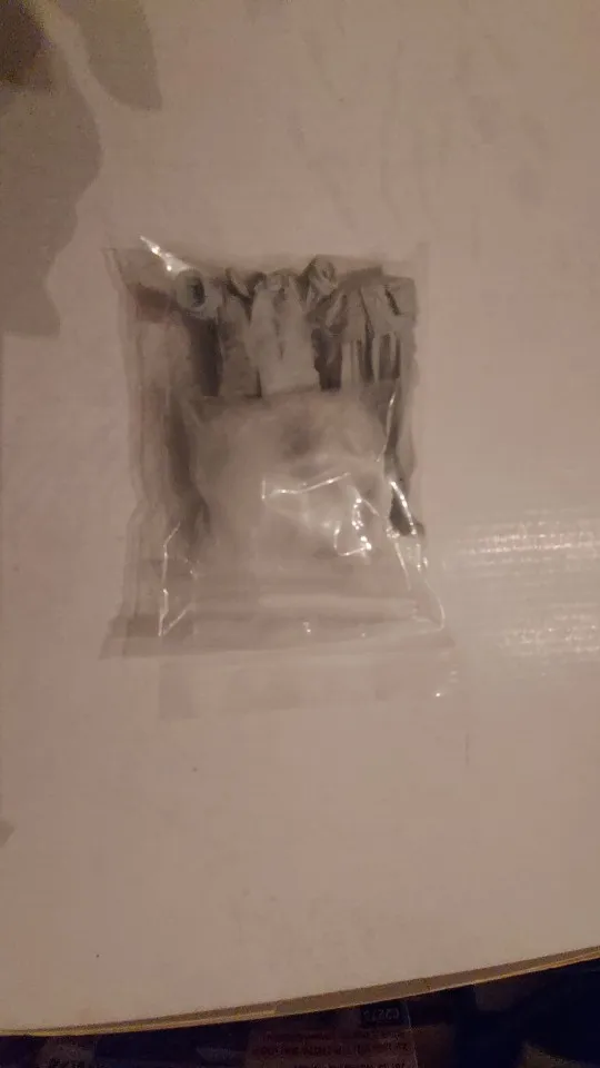 Buyer photo of this resin kit
