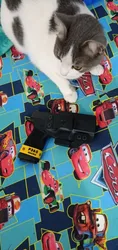 Imagen de reseña 3