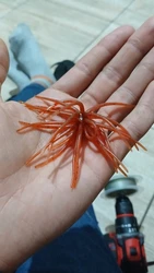 Imagen de reseña 2