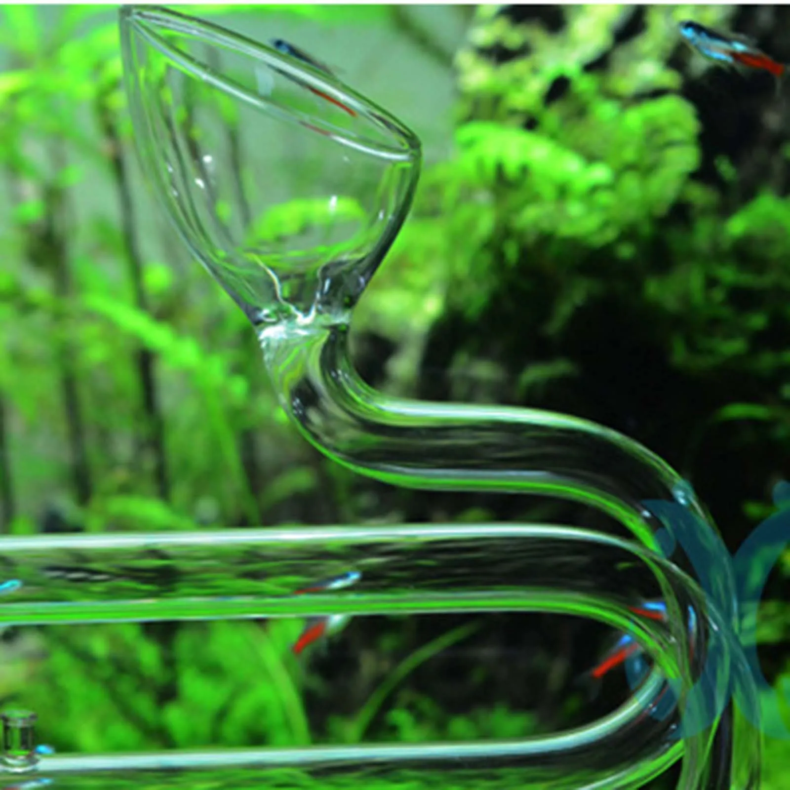 Aquarien-Lilienrohr, Ein- und Auslaufrohr für Aquarien, Wasserpflanzen-Tankfilter, 10/17mm Transparentes, Leicht zu Reinigendes Glas-Lilienrohr – Detail 4