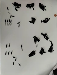 Imagen de reseña 3