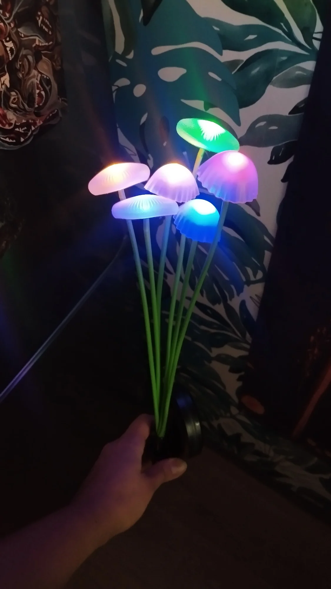 리뷰 사진