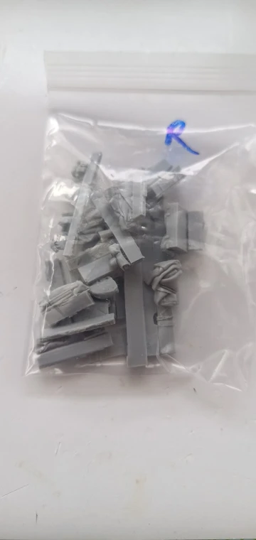 Buyer photo of this resin kit