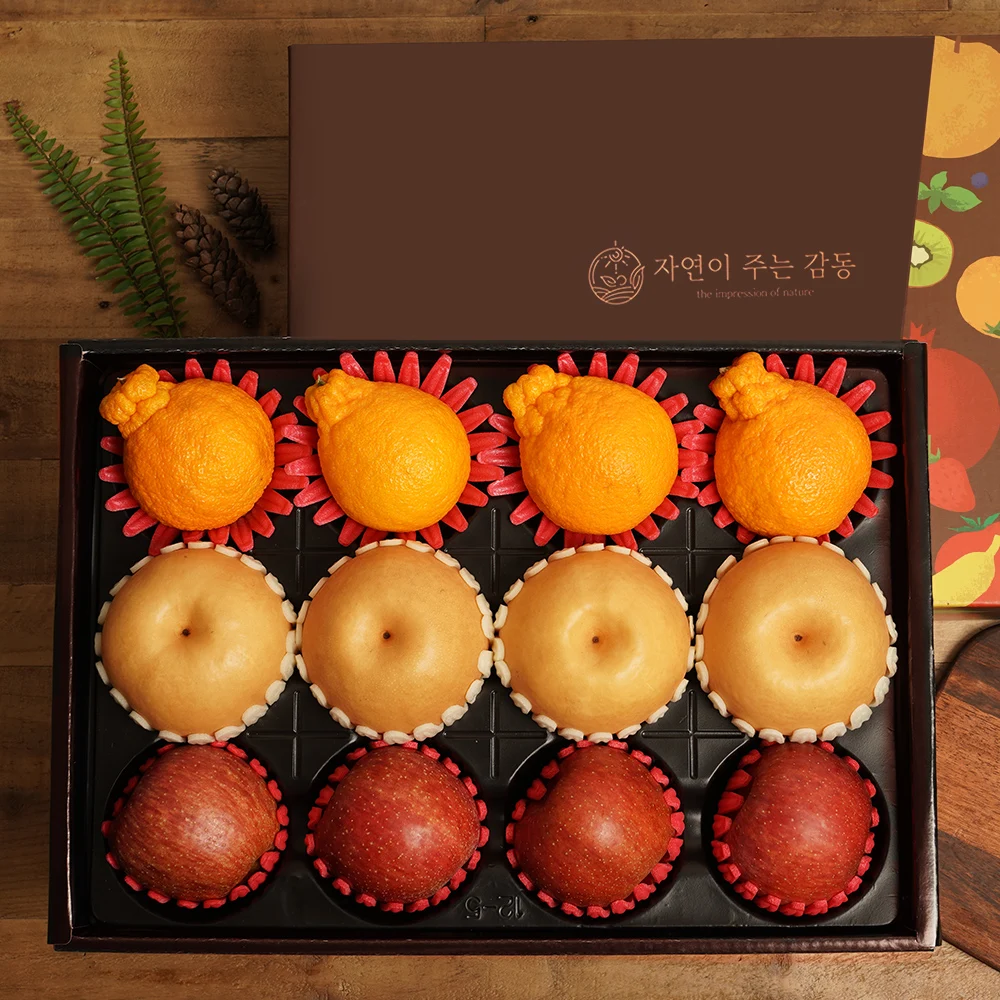 [감동] 혼합과일선물세트/ 4 apples + 4 pears + 4 hallabongs 5kg mixed fruit gift set and other holiday gift sets