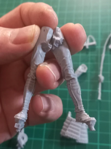 Buyer photo of this resin kit