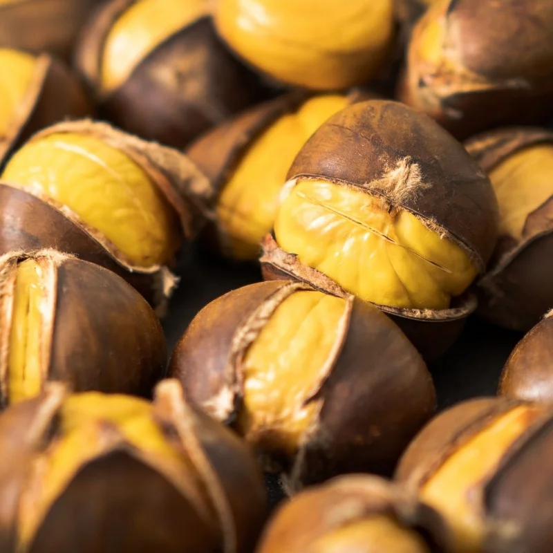 24년 통관 햇 약단밤 생율밤 1kg