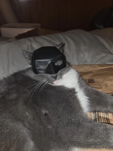Masque Bat pour chat – Accessoire 3D imprimé pour Halloween, cosplay et séances photo