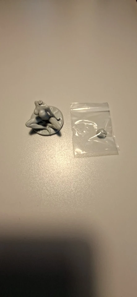 Buyer photo of this resin kit