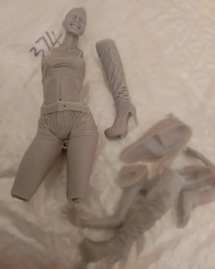 Buyer photo of this resin kit