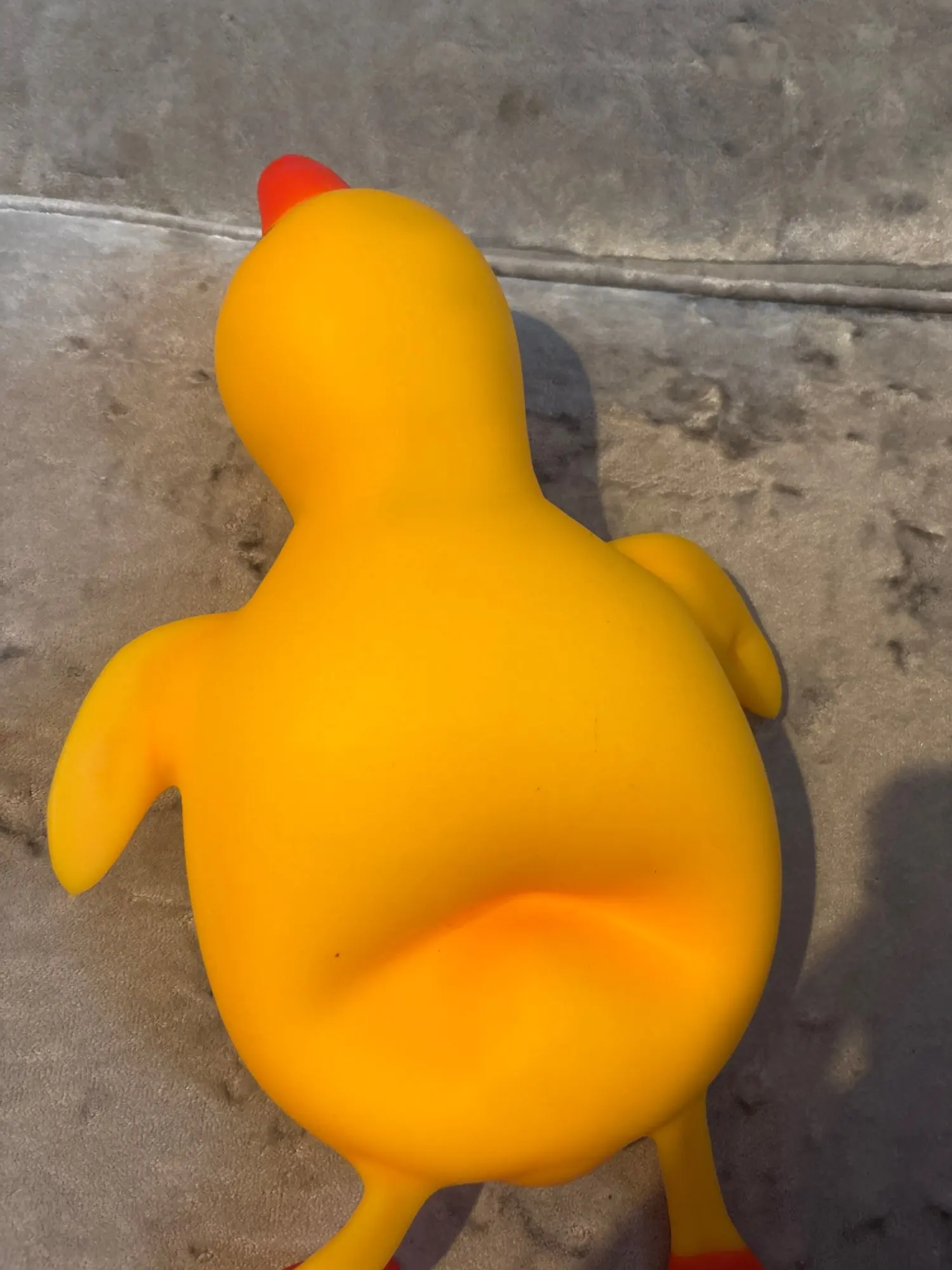 리뷰 사진