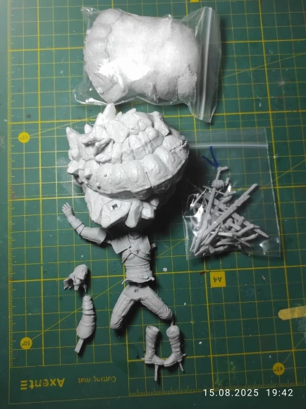 Buyer photo of this resin kit