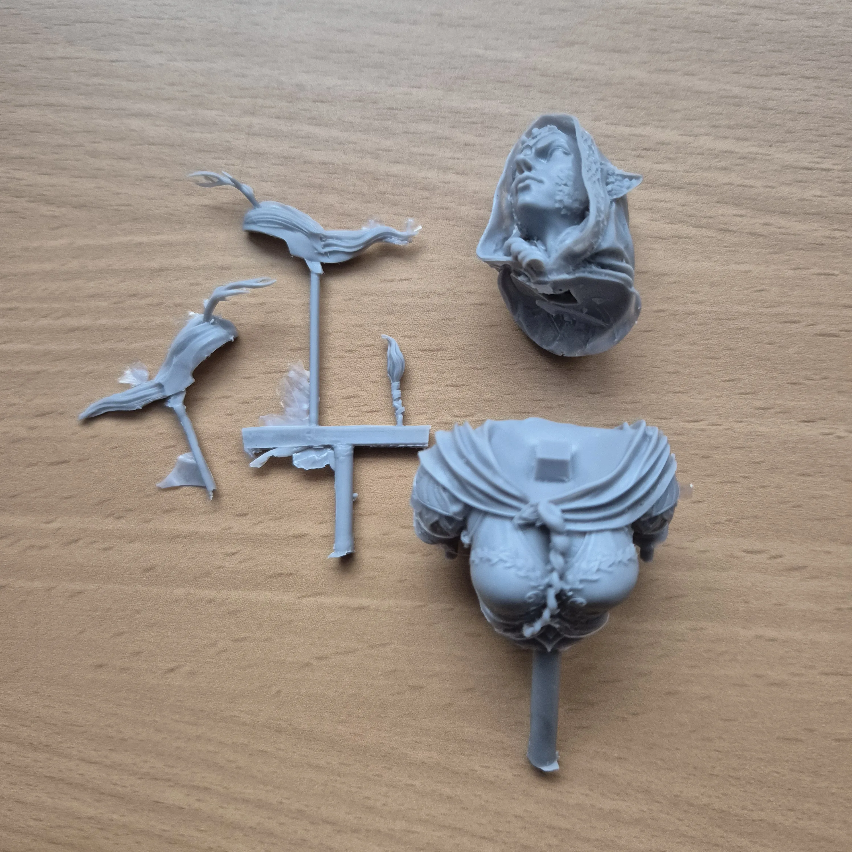 Buyer photo of this resin kit