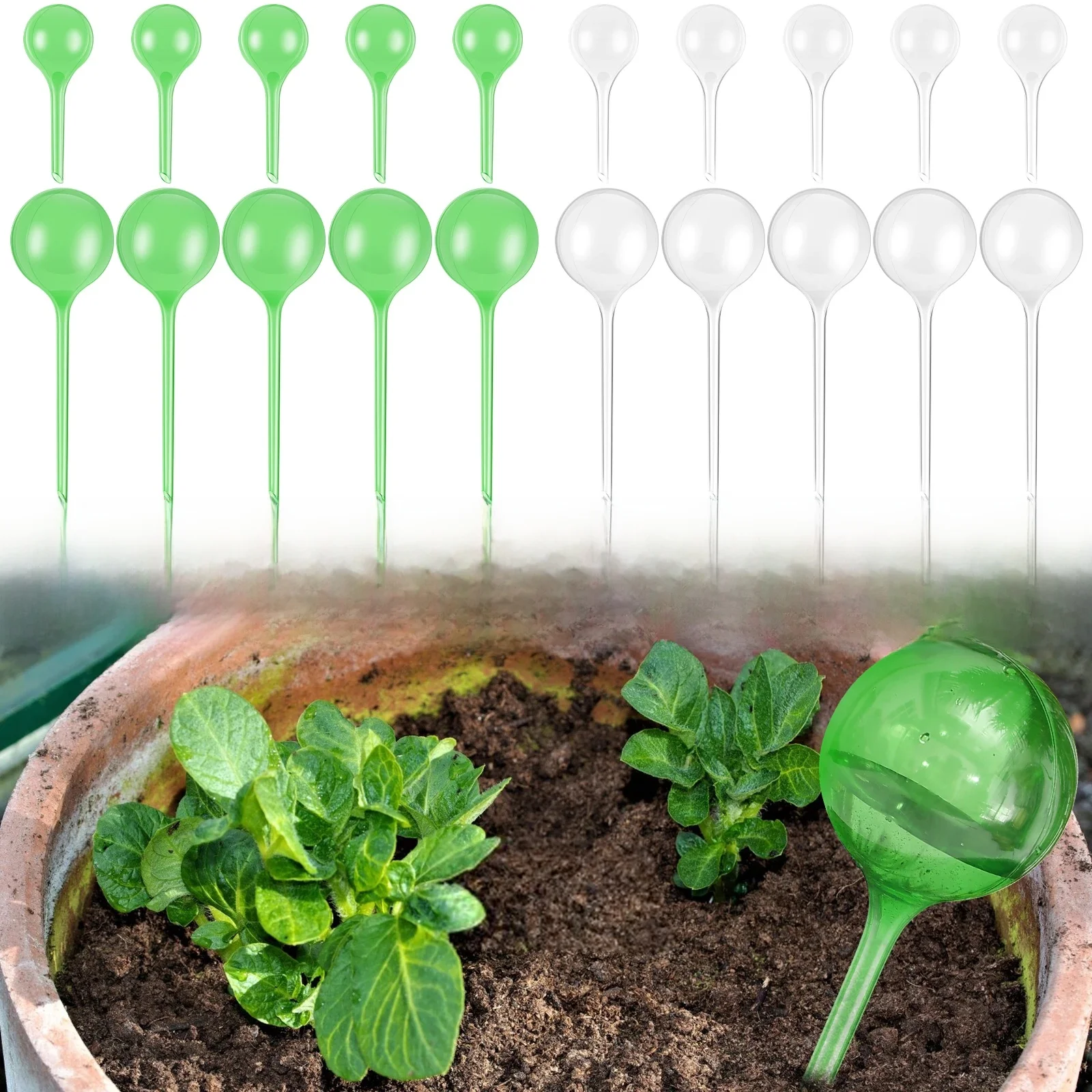 10Pcs Automatyczne żarówki do podlewania roślin Samonawadniające kulki kulkowe Podajnik wody do roślin Urządzenie do nawadniania kropelkowego do ogrodu — zdjęcie 2