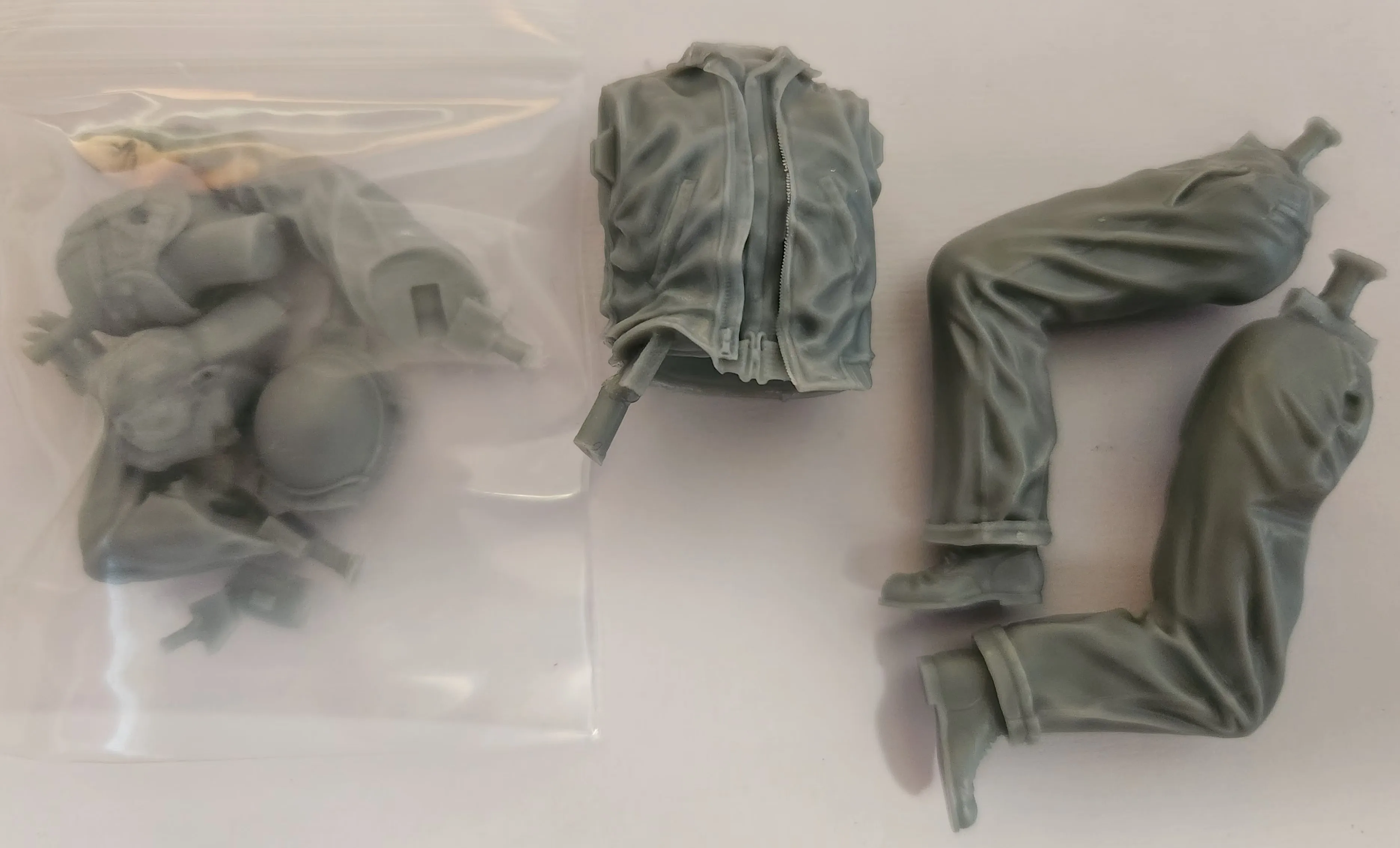 Buyer photo of this resin kit