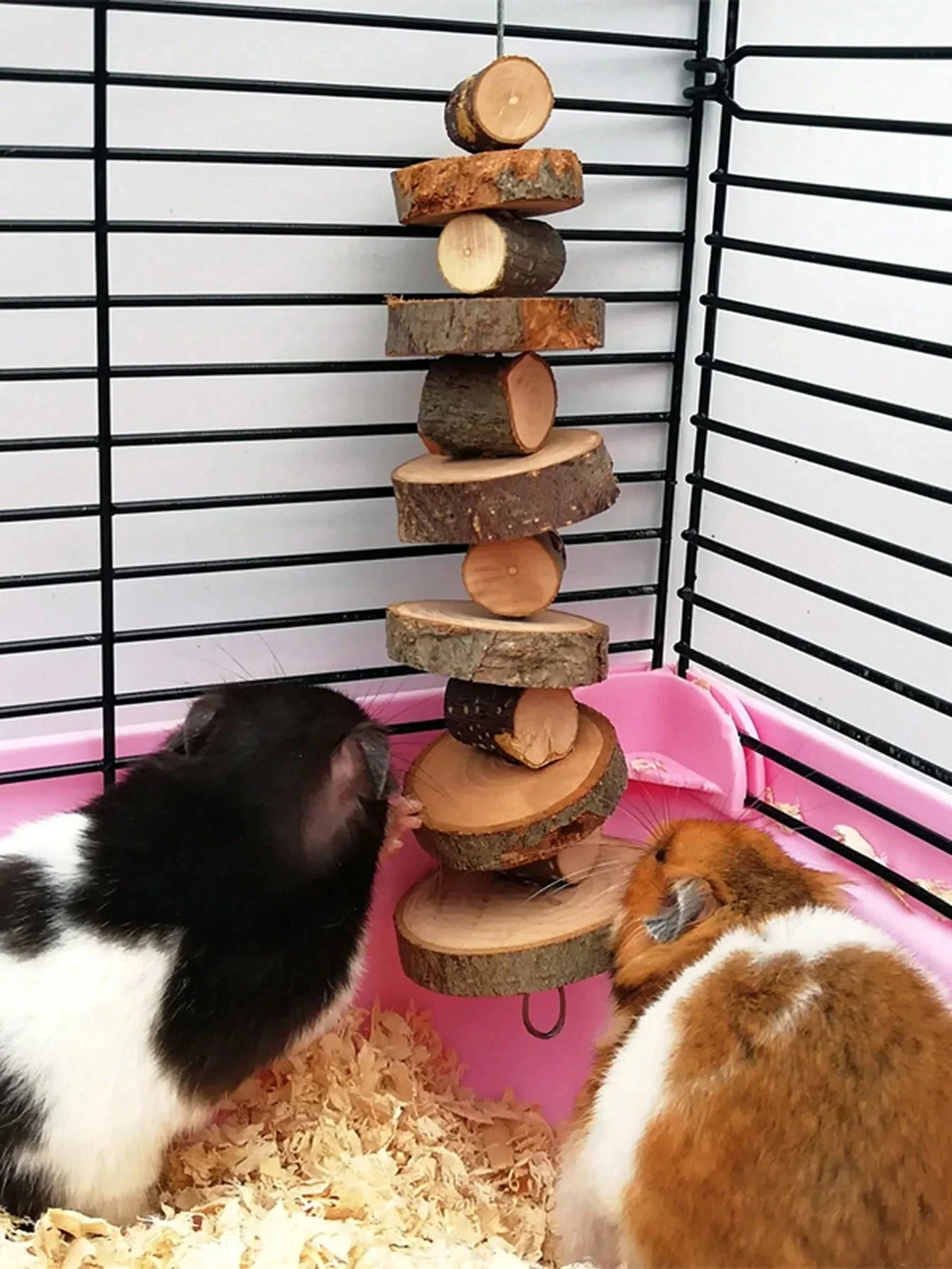 Jouet à mâcher en bois de pomme simple, anciers à mâcher de lapin, dents rondes en bois, ULde meulage, petit jouet pour animaux de compagnie, 1 pièce