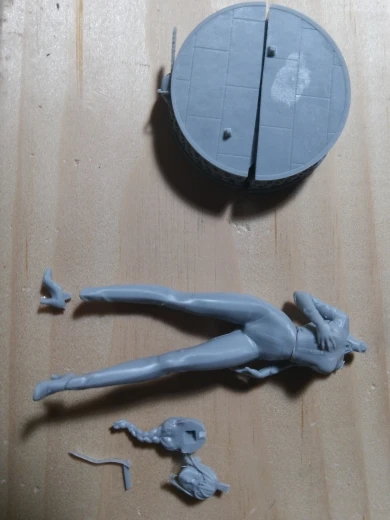 Buyer photo of this resin kit