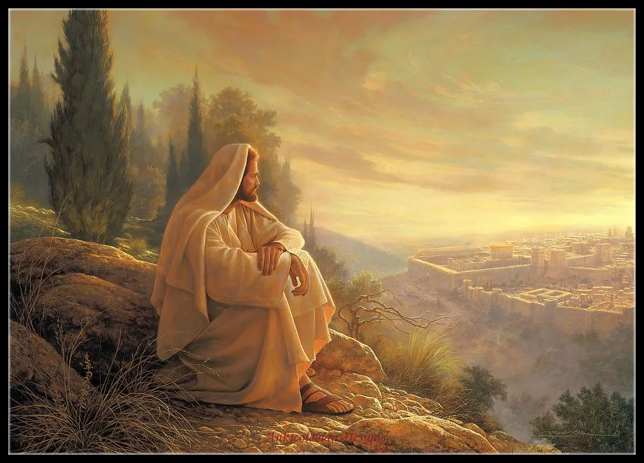 

Наборы для вышивки крестиком из счетного материала, рукоделие, 14 ct Aida DMC, цветное искусство «сделай сам», домашний декор ручной работы-о-исламин