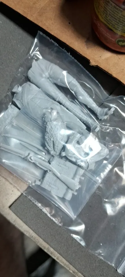 Buyer photo of this resin kit
