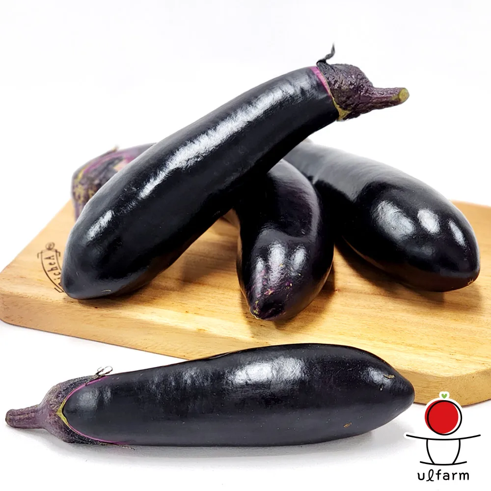 Berenjena doméstica fresca Smart Palm Every Day Recolvesting Specials, 5 paquetes, 10 paquetes, 15 paquetes, 20 paquetes