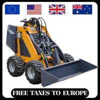 EURO 5 EPA Mini Skid Steer Loader China Manufacturer Small loader 320KG Mini Wheel Loader Customizable