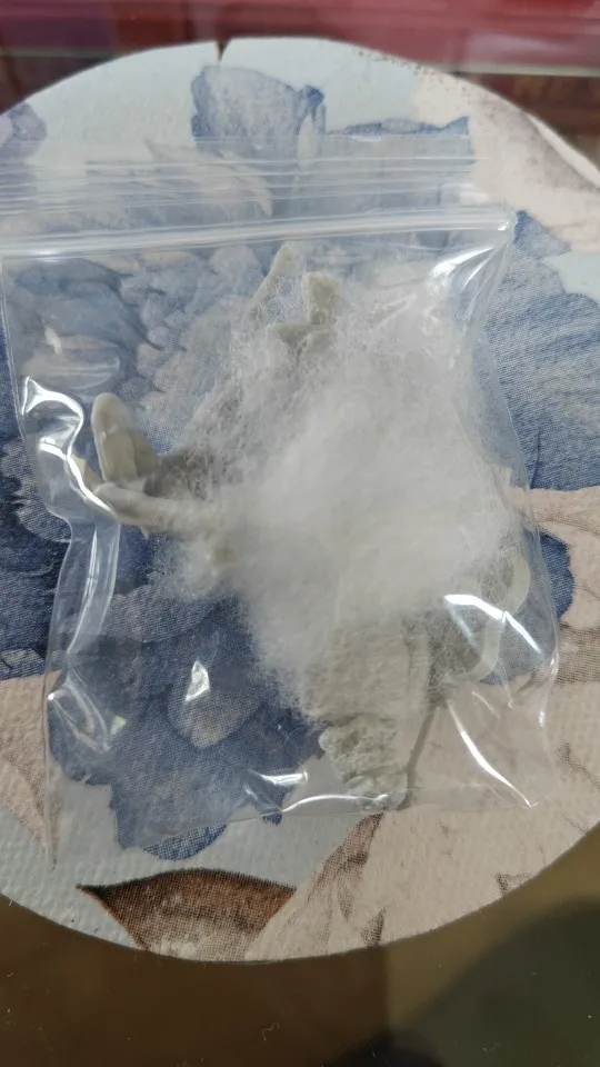 Buyer photo of this resin kit