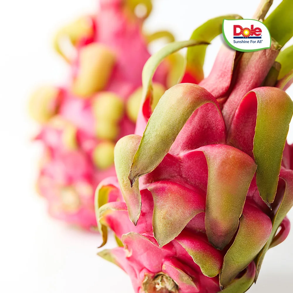 [Dol Direct] ، g لكل (قطع)