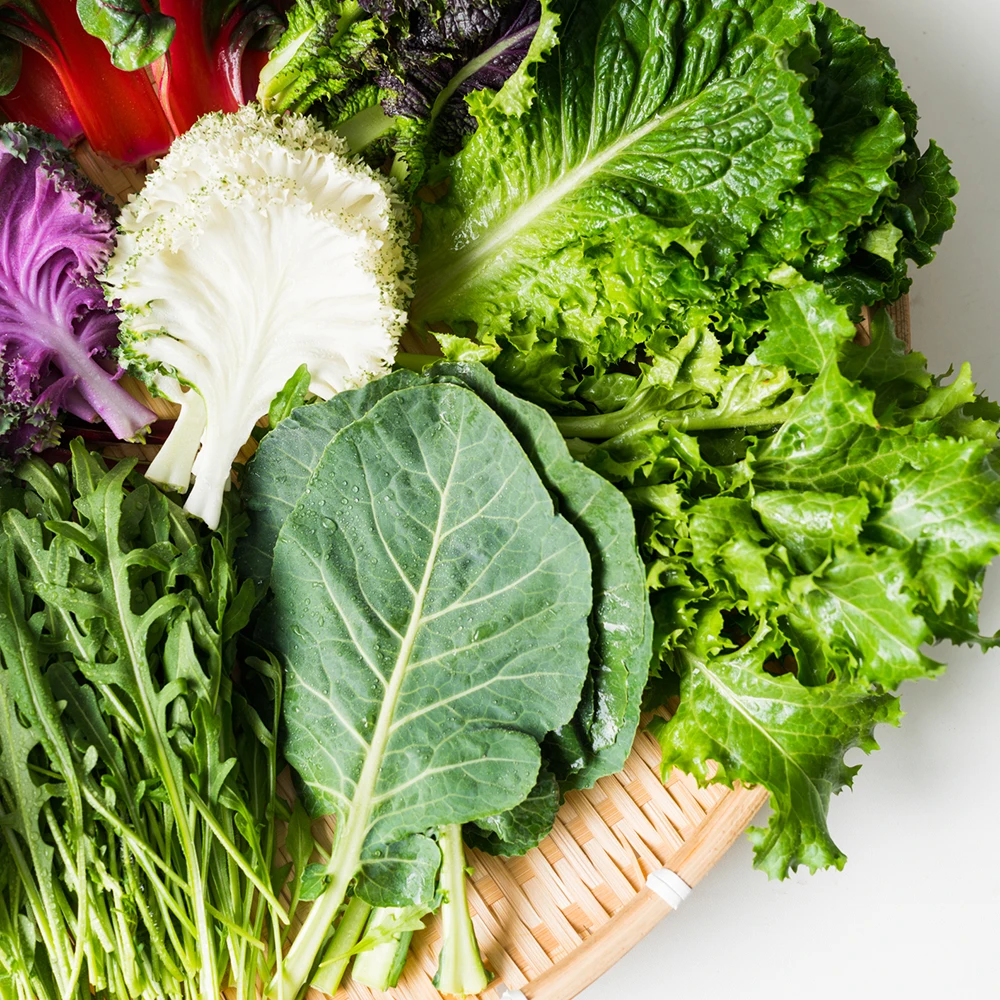 유러피안샐러드 모둠쌈채소 - 2