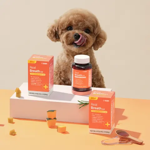 펫생각 강아지 기관지 영양제 31정 1개월분 리얼 브레스 기관지협착증 기침 감기 호흡기 면역력 관리 배도라지