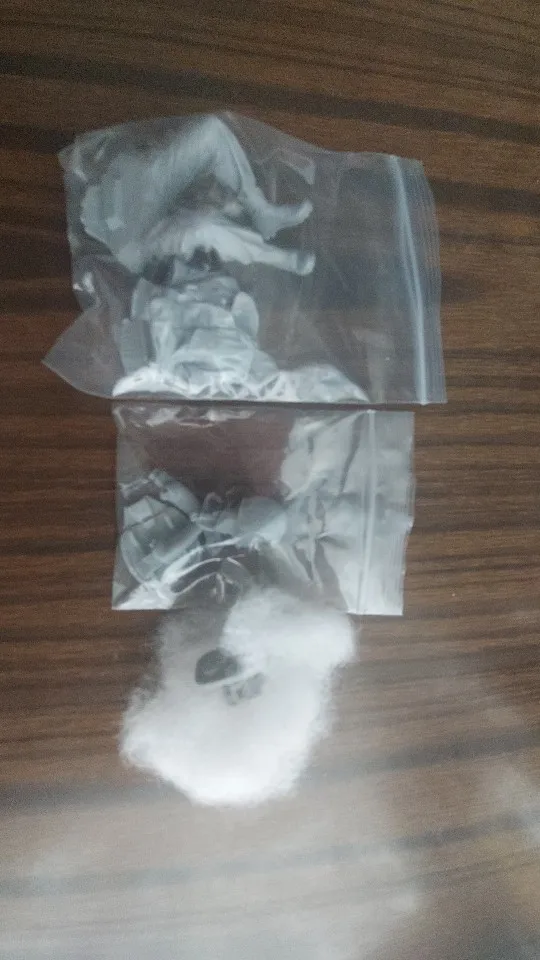 Buyer photo of this resin kit