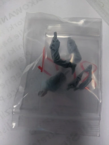 Buyer photo of this resin kit
