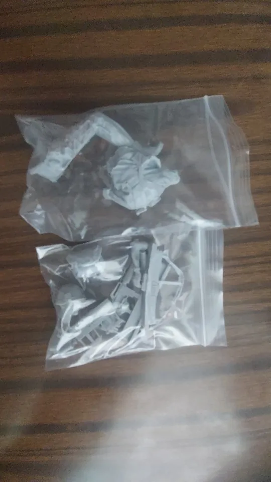 Buyer photo of this resin kit