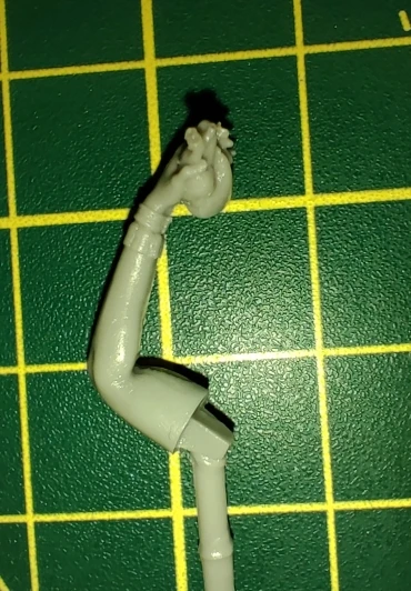Buyer photo of this resin kit