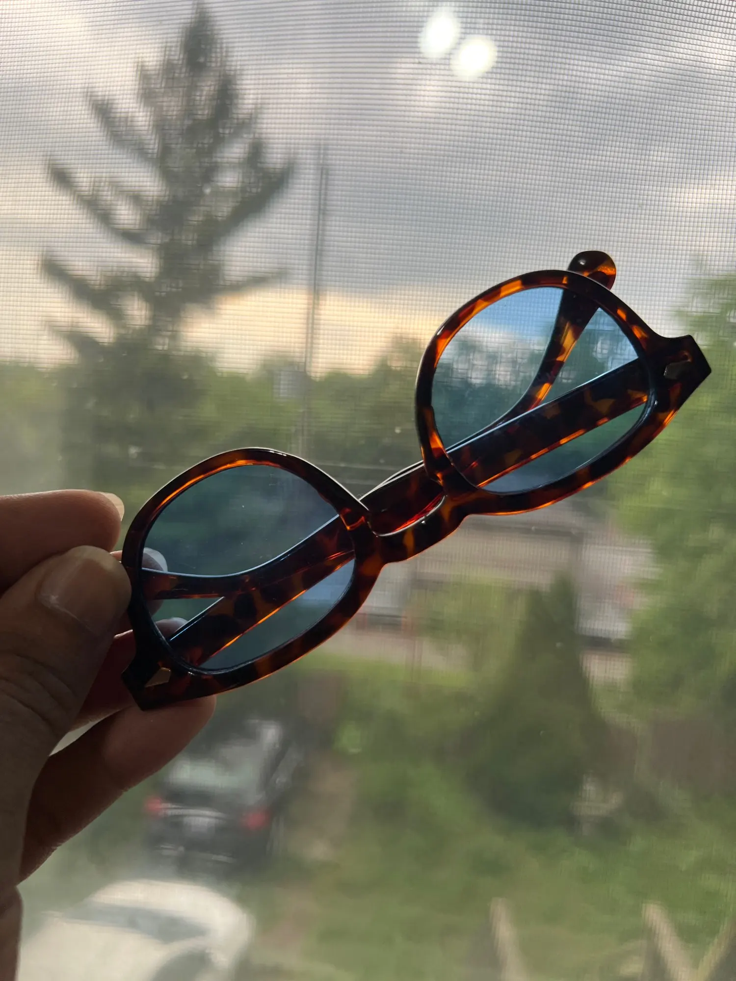 Tinted Lenses