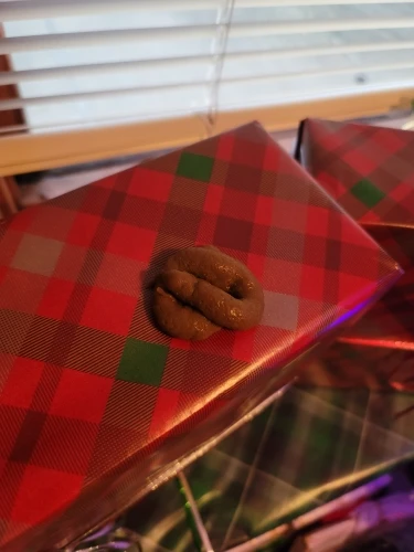 실물 포토 리뷰