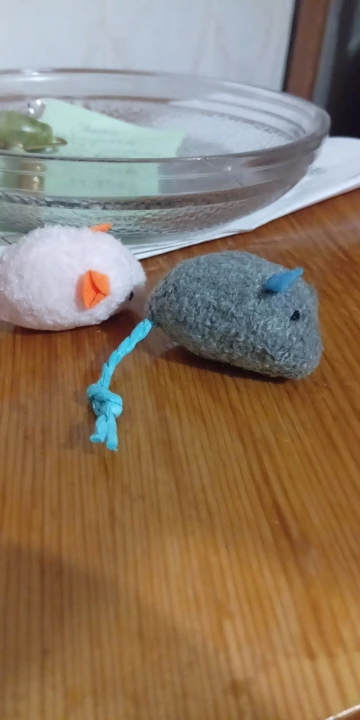 실물 포토 리뷰