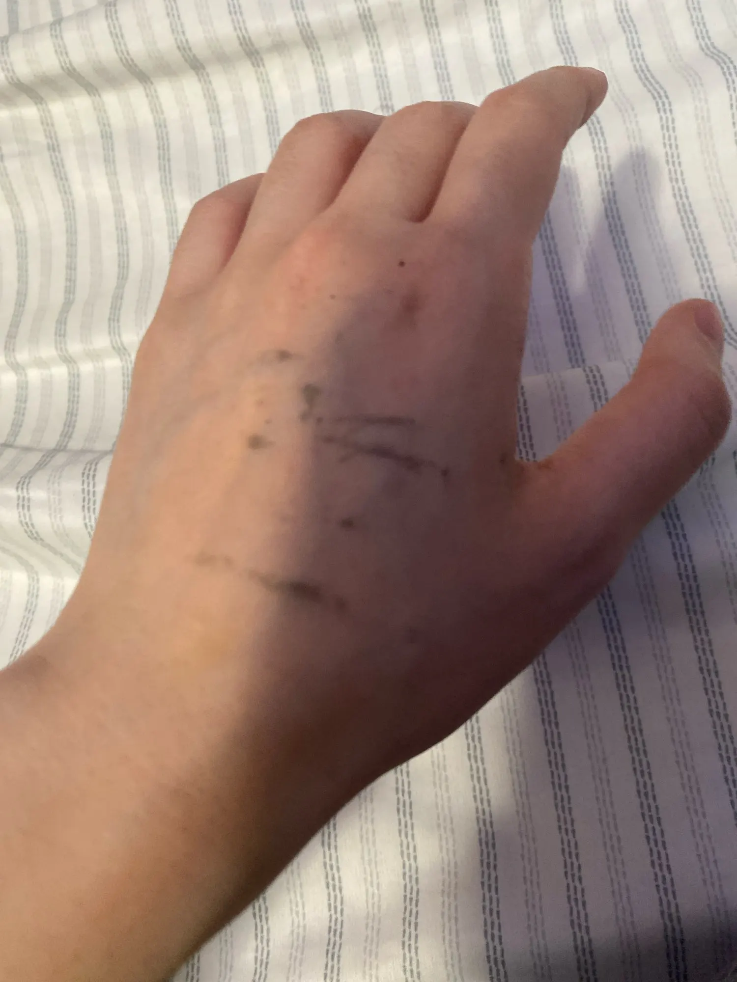 Customer review photo