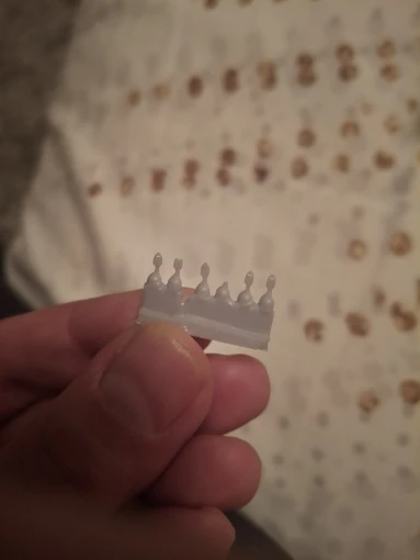 Buyer photo of this resin kit